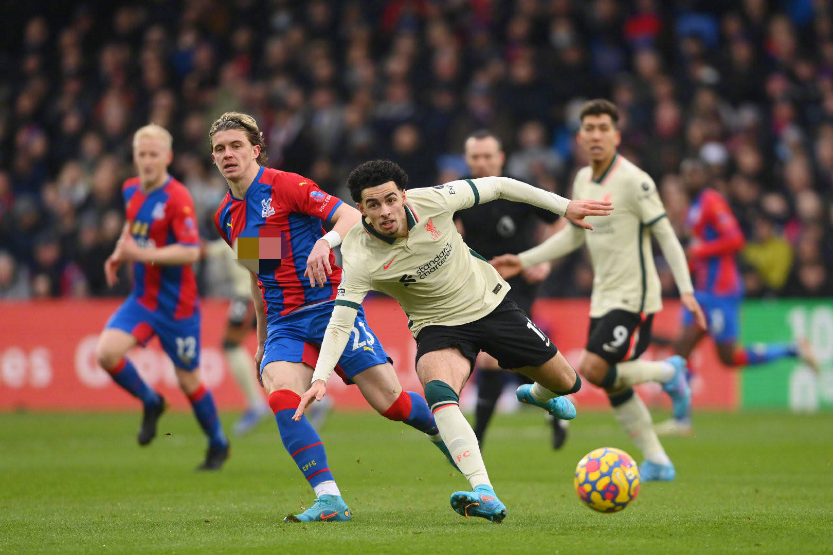 稳定崛起的 稳定崛起的